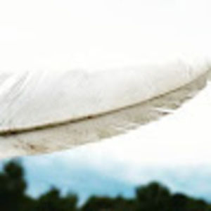 Meet your Posher, Kai